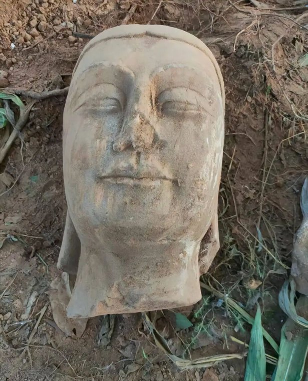 村民在养猪场附近挖出1400年前佛首无偿交给博物馆，博物馆：与馆内佛立像匹配！官方：将给予村民一定奖励